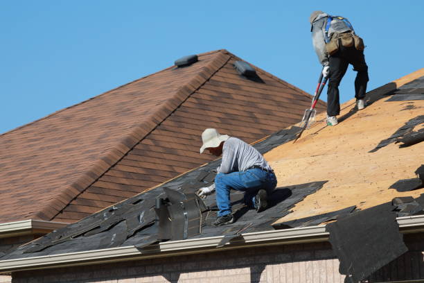 Best Roof Maintenance and Cleaning  in Pittsburg, TX