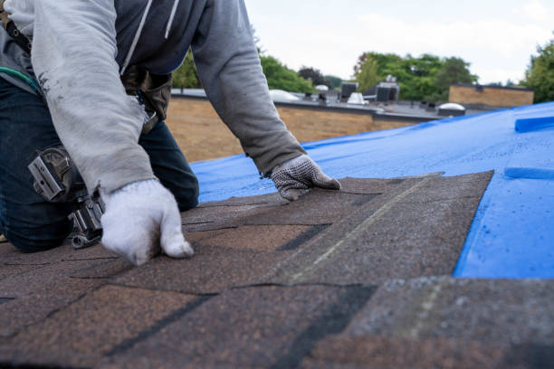4 Ply Roofing in Pittsburg, TX